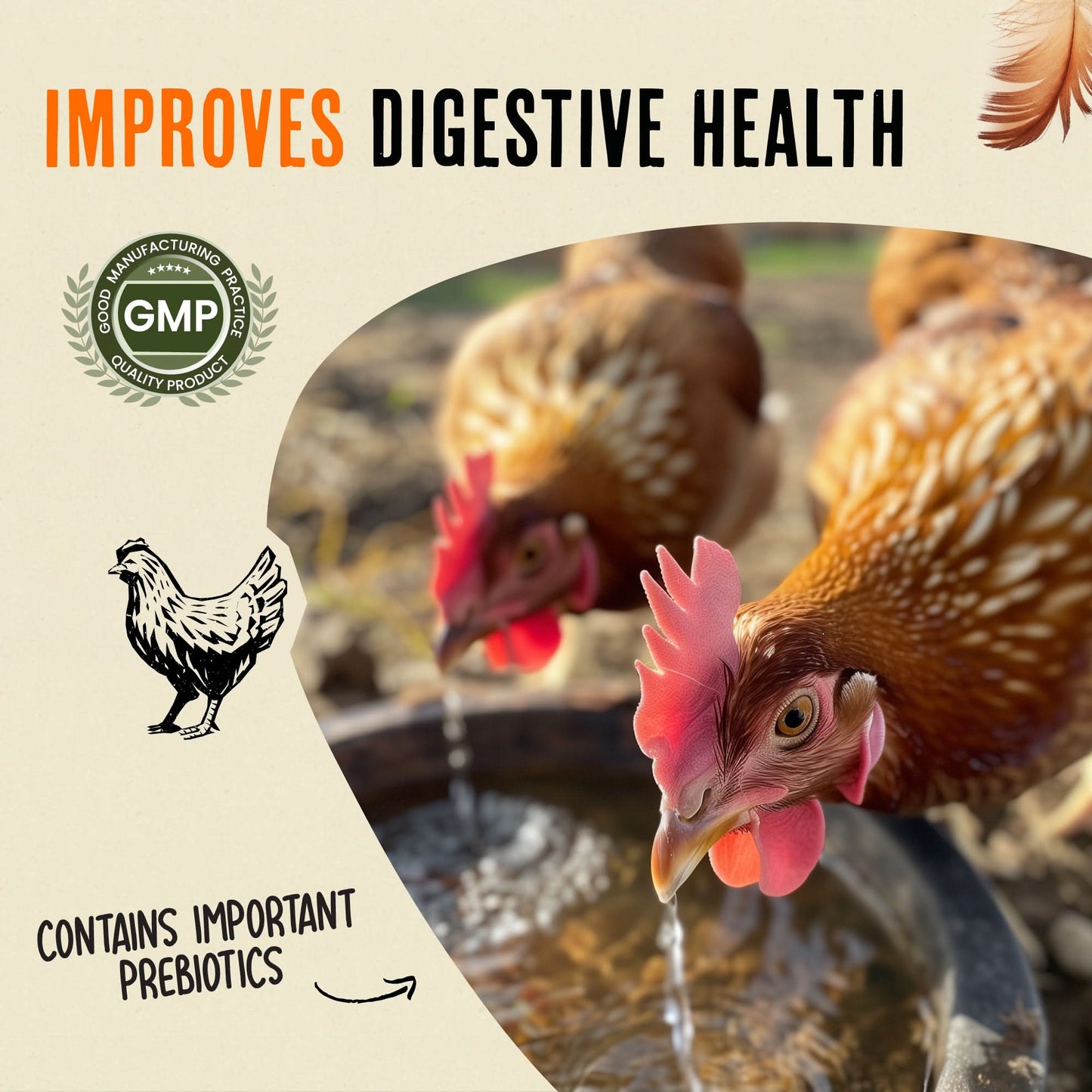 All Natural Immunity & Digestion Booster