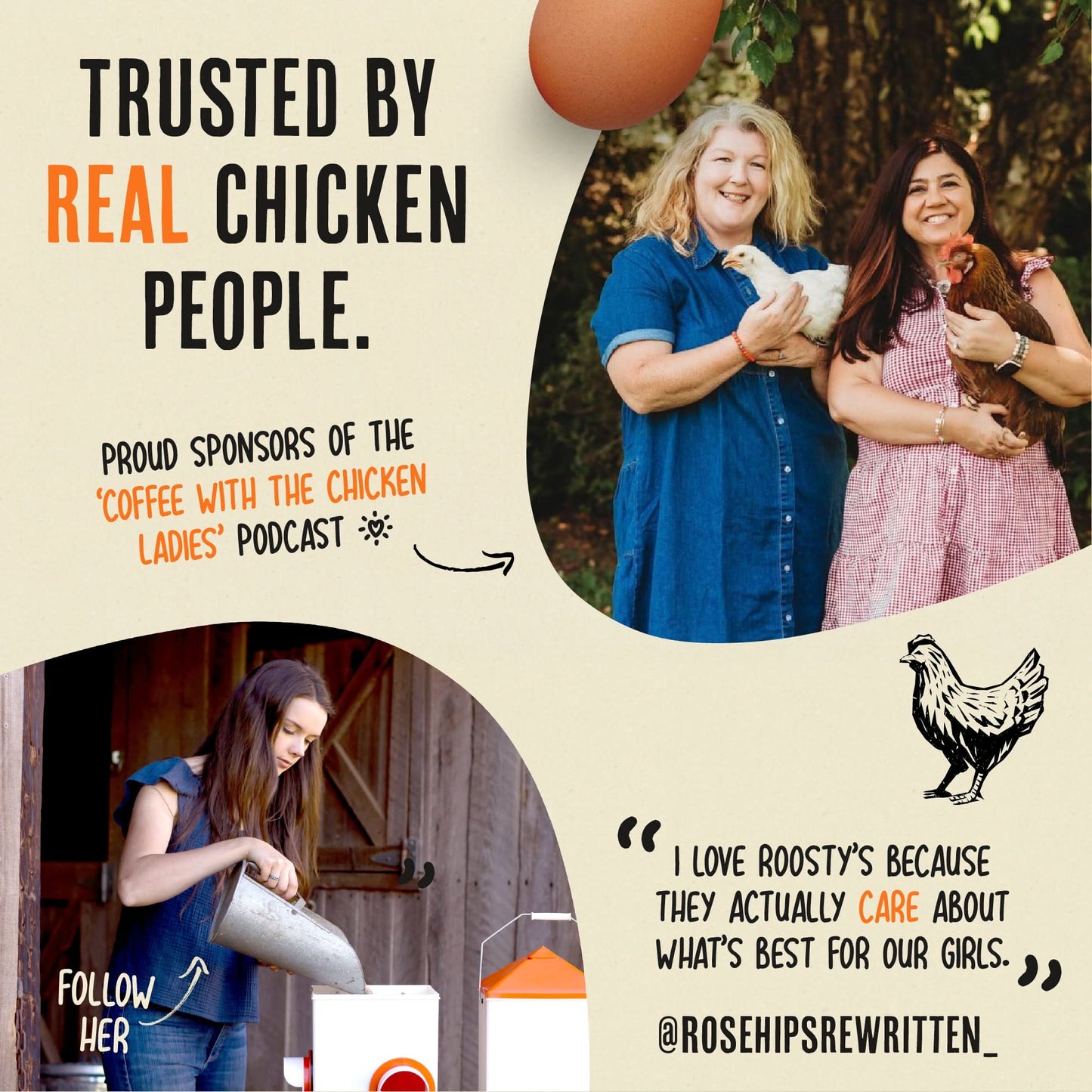 All Natural Immunity & Digestion Booster