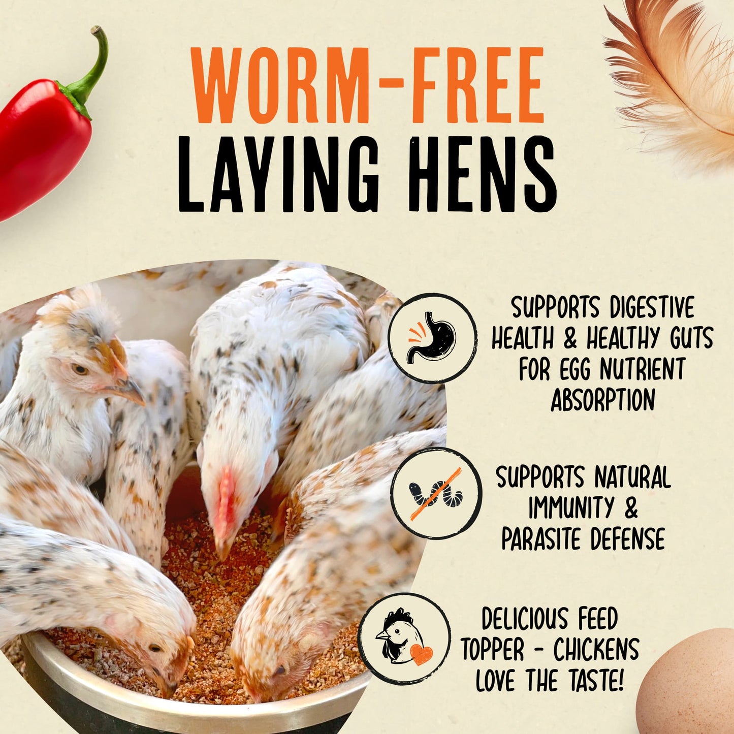 Desparasitante para pollos 100% natural: mantenga a sus gallinas en forma y libres de lombrices.