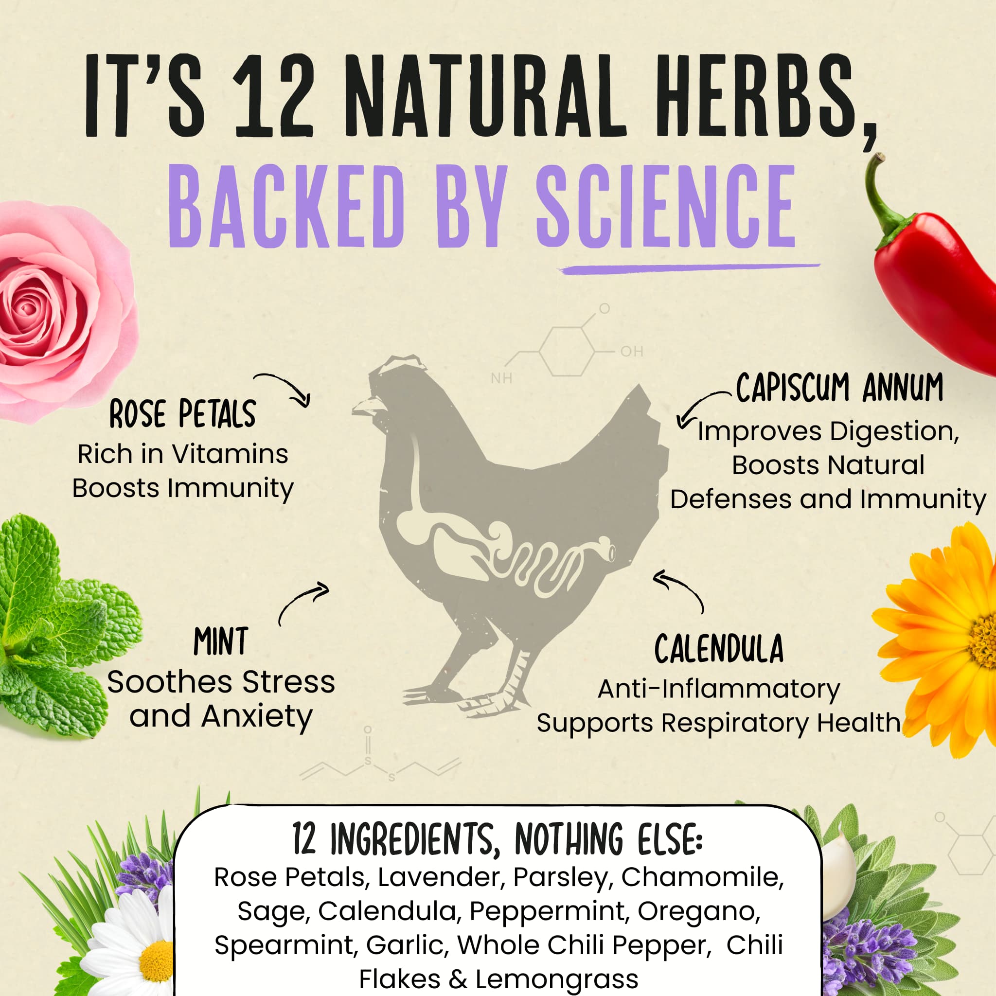 Nesting Herbs - Control Odors & Keep Coops Mite & Lice-Free